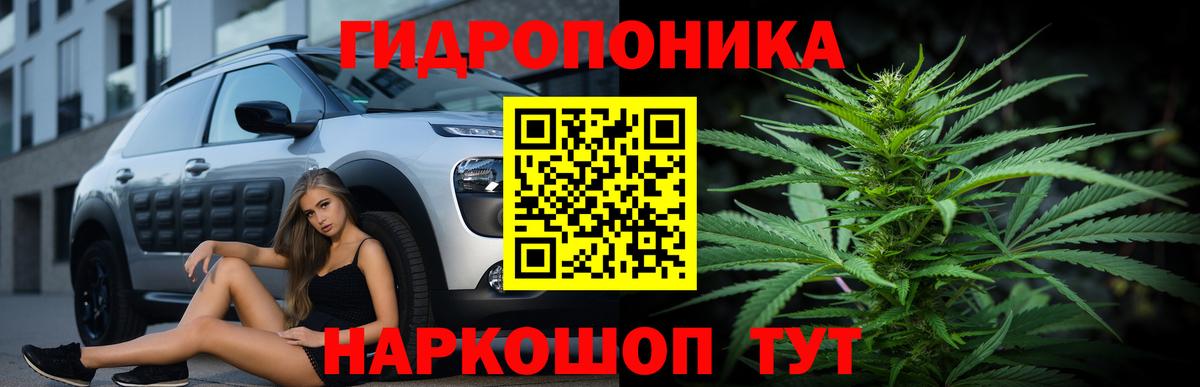 Бошки Шишки Bruce Banner  Марихуана планчик  Вход с VPN  Конопля Ganja  Великие Луки 